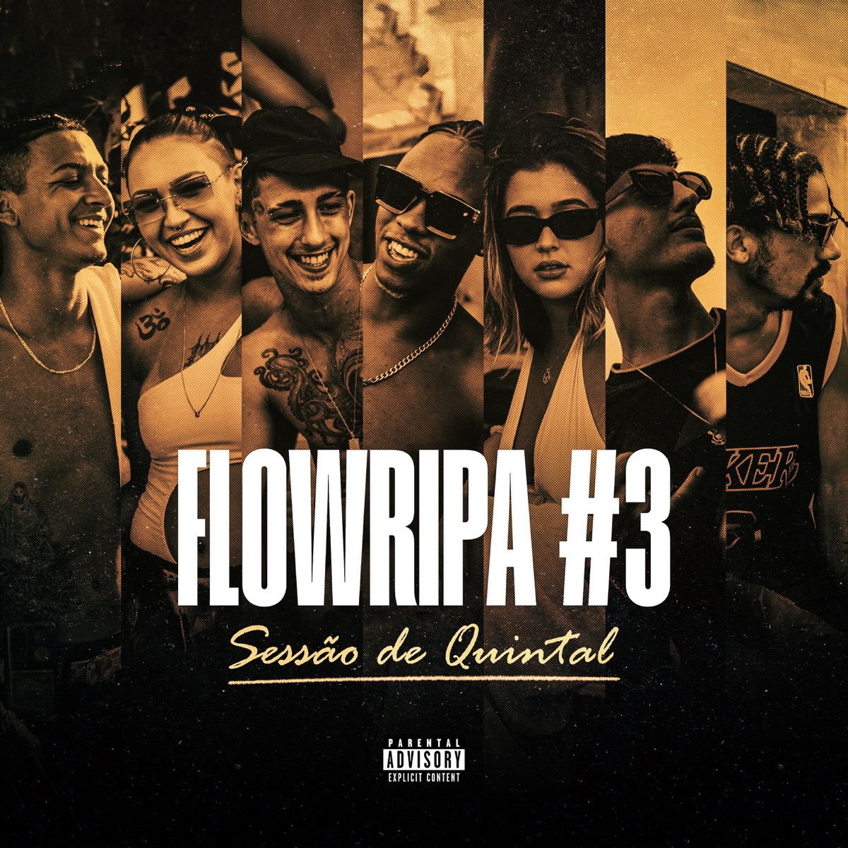 flowripa 3 - Sessão de Quintal - Single by FIDEM.STT album cover