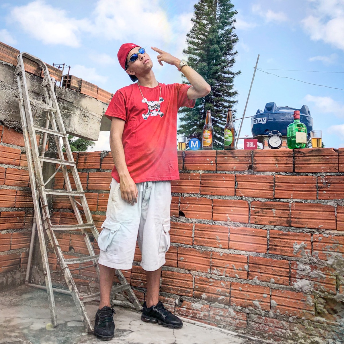 O M Que Domina a Cena - Single by MC Murilo ZS album cover