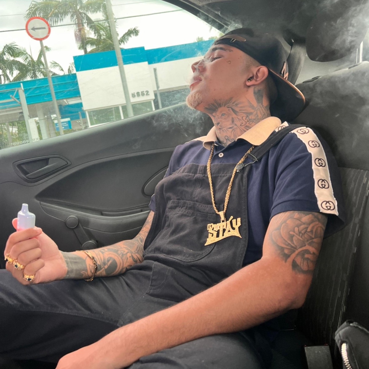 BONJOUR (MTG) - Single by dj stay album cover