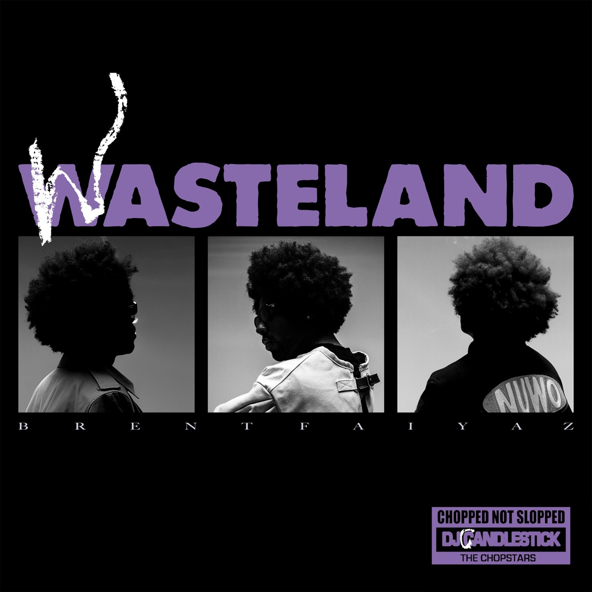 WASTELAND - CHOPPED NOT SLOPPED by Brent Faiyaz, DJ Candlestick & OG Ron C album cover artwork