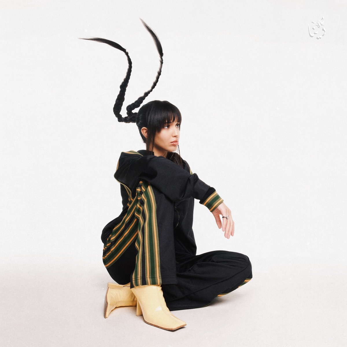 Passion! - Single by Dina Ayada album cover
