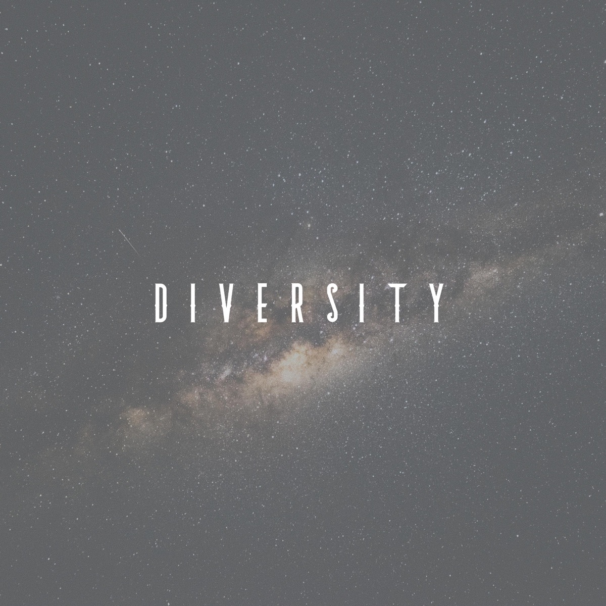 Diversity - Single by Silence album cover