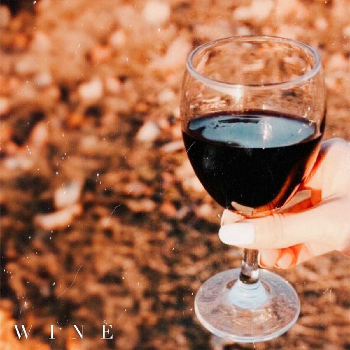 Wine (feat. Baxter G & Azul Arana) - Single by Emvsk album cover