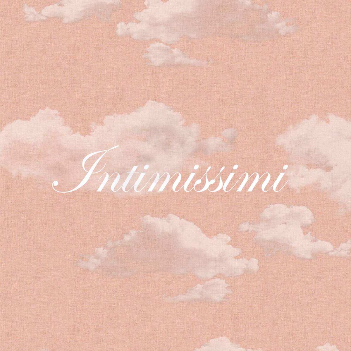 Intimissimi (feat. Fasola) - Single by MRmetrick & DJ Mariano MBH album cover