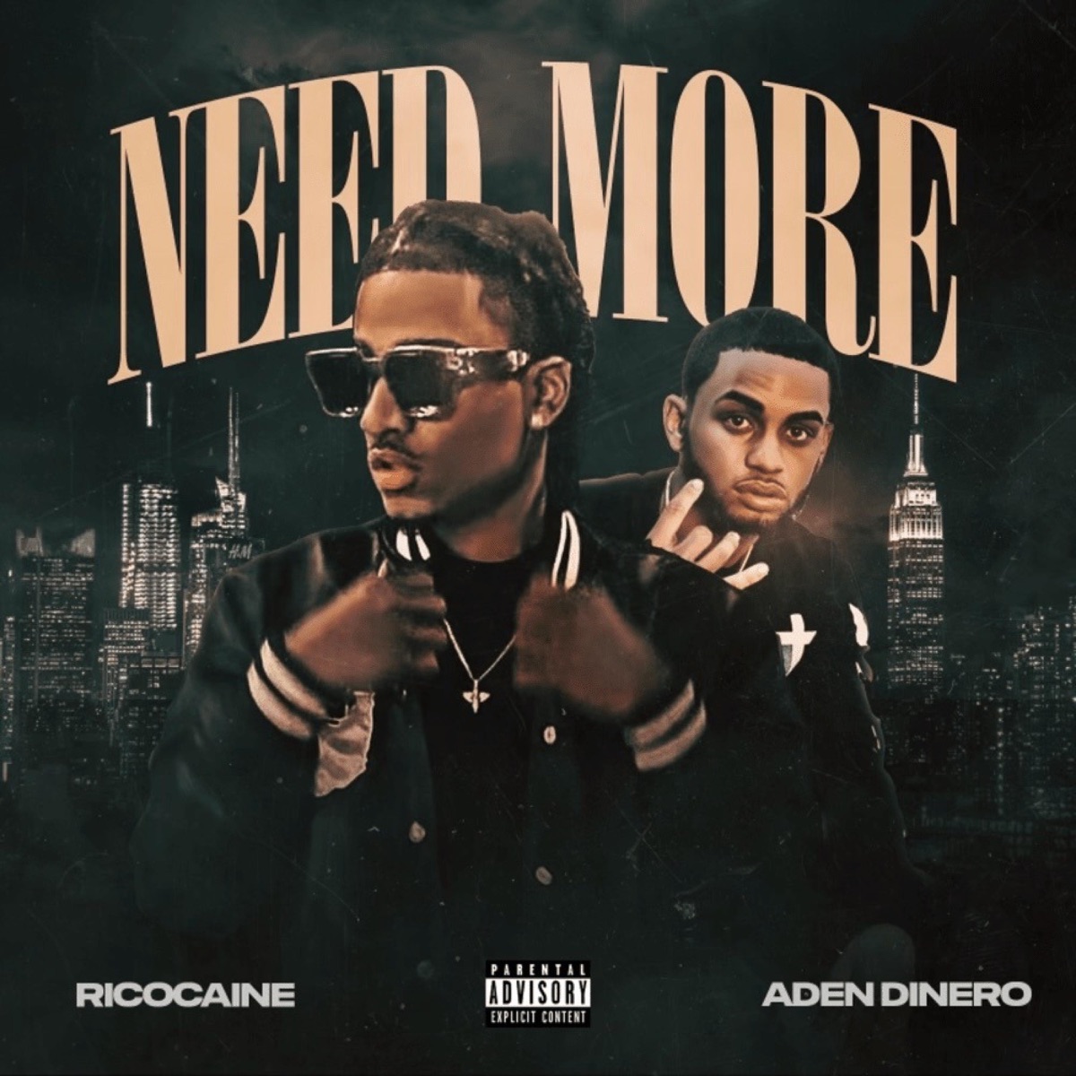 NEED MORE (feat. ADEN DINERO) - Single by Ricocaine album cover