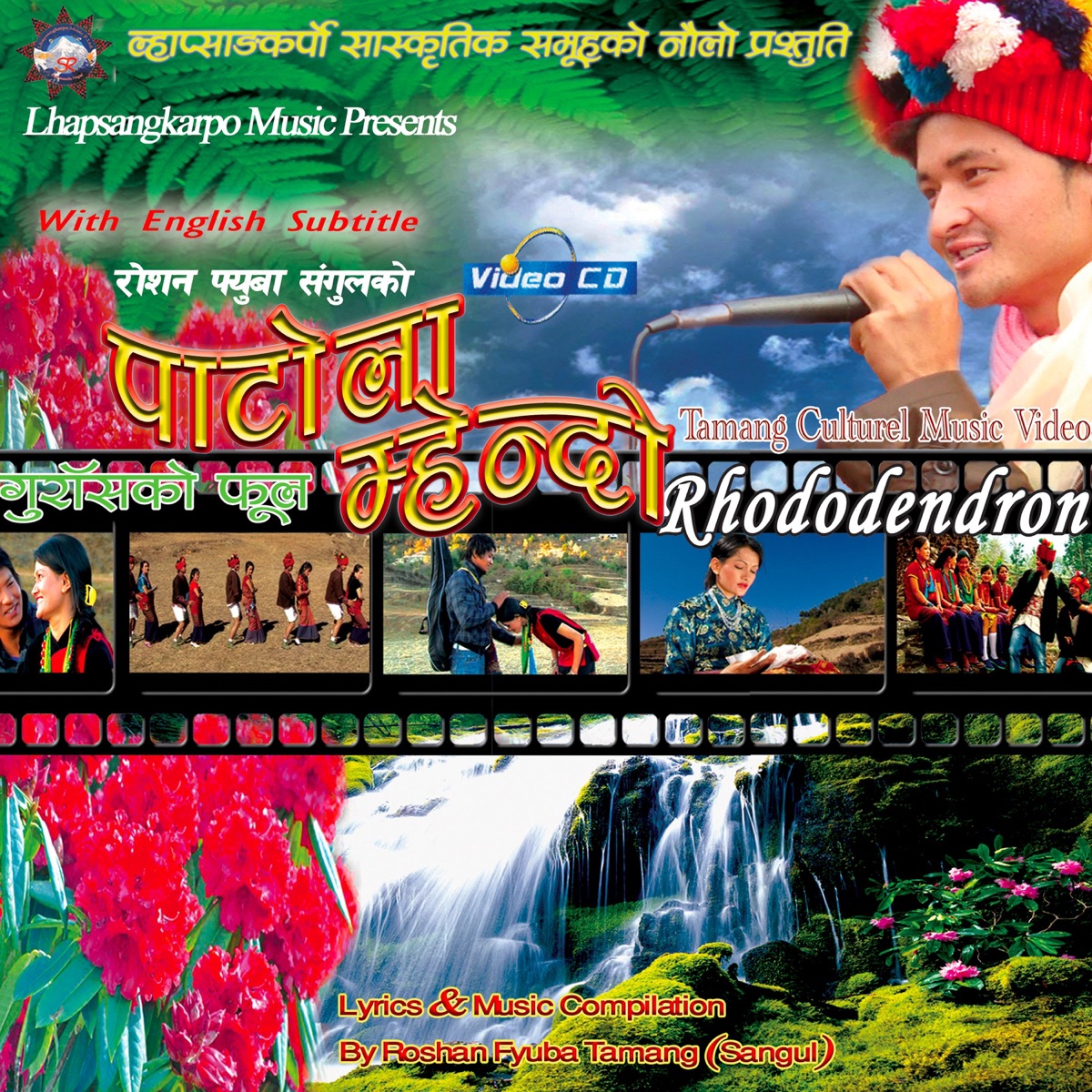 Patola Mhendo Mhendomaya - Single by Roshan Phyuba Tamang & Mina Lama album cover