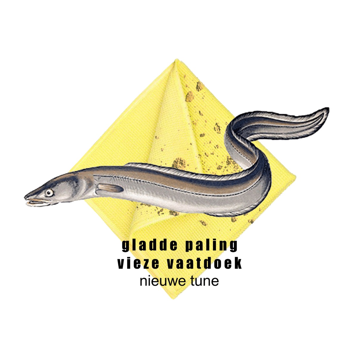 Nieuwe Tune - Single by gladde paling & vieze vaatdoek album cover