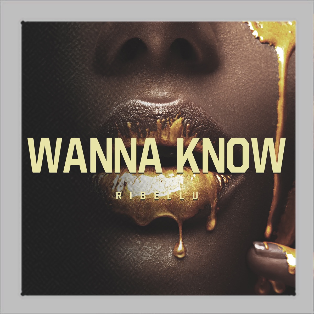 Wanna Know - Single by RIBELLU album cover