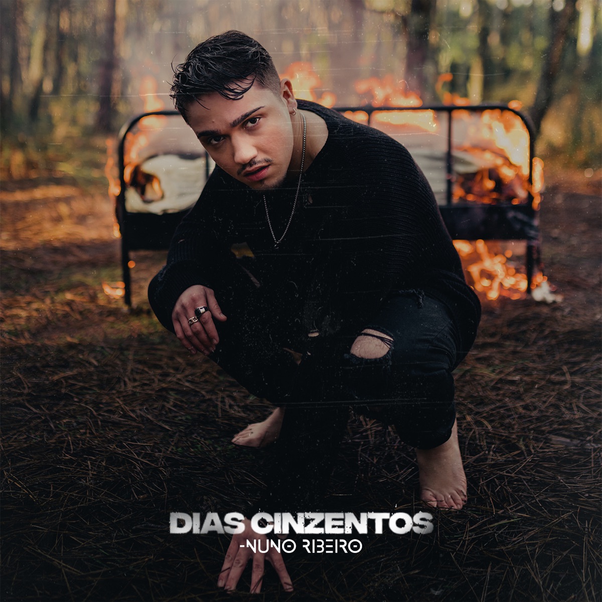 Dias Cinzentos - Single by Nuno Ribeiro album cover