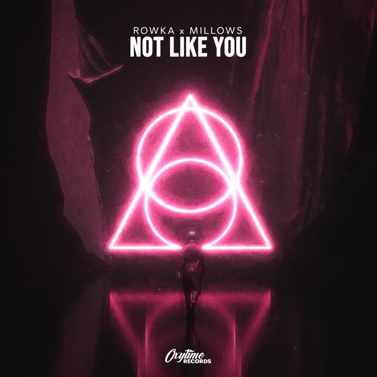 Not Like You - Single by ROWKA & Millows album cover