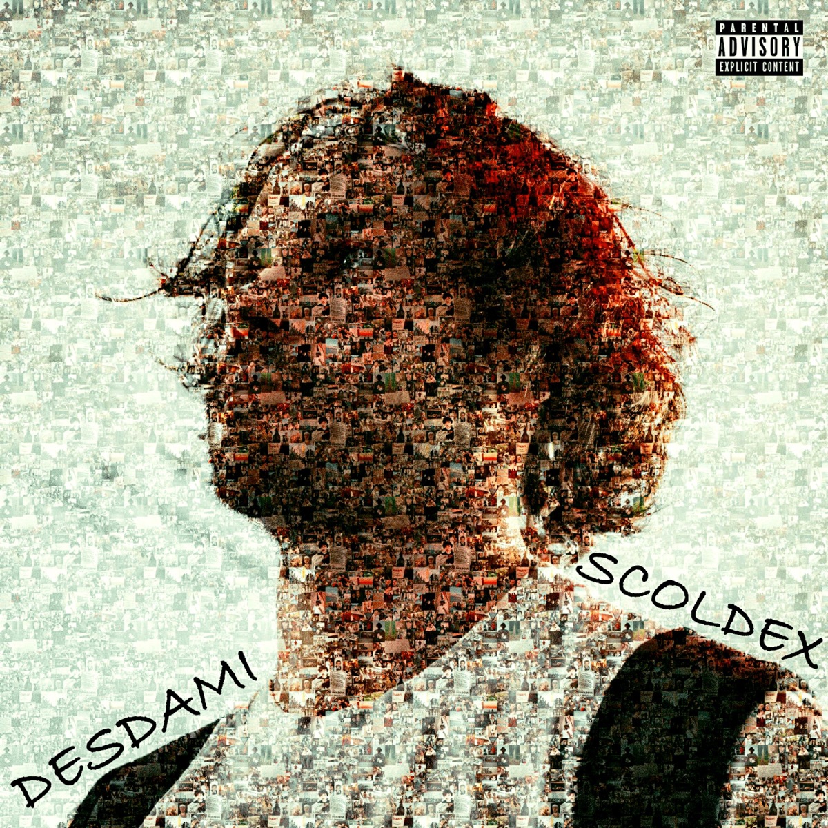 Desdami by Scoldex album cover