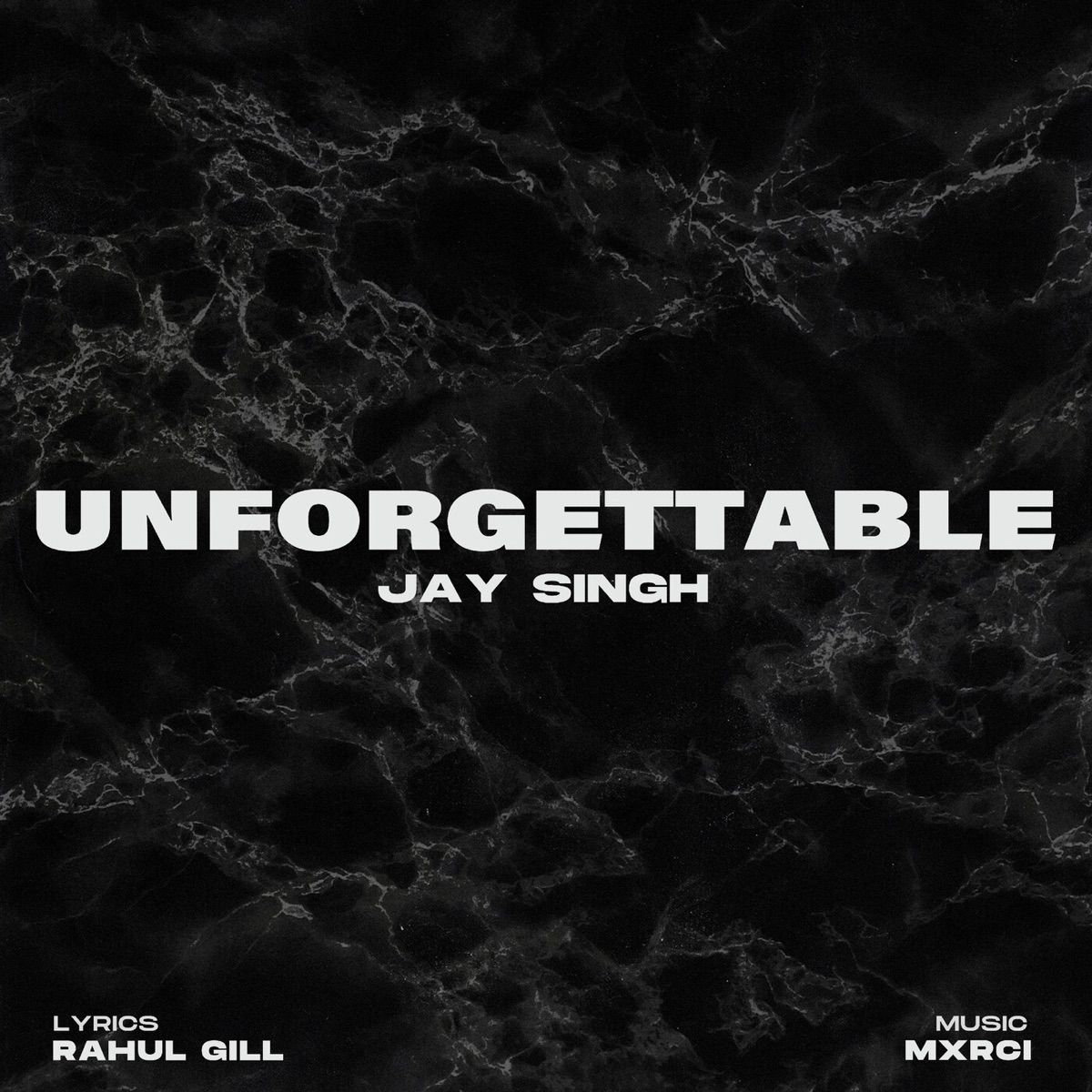 Unforgettable - Single by Jay Singh album cover