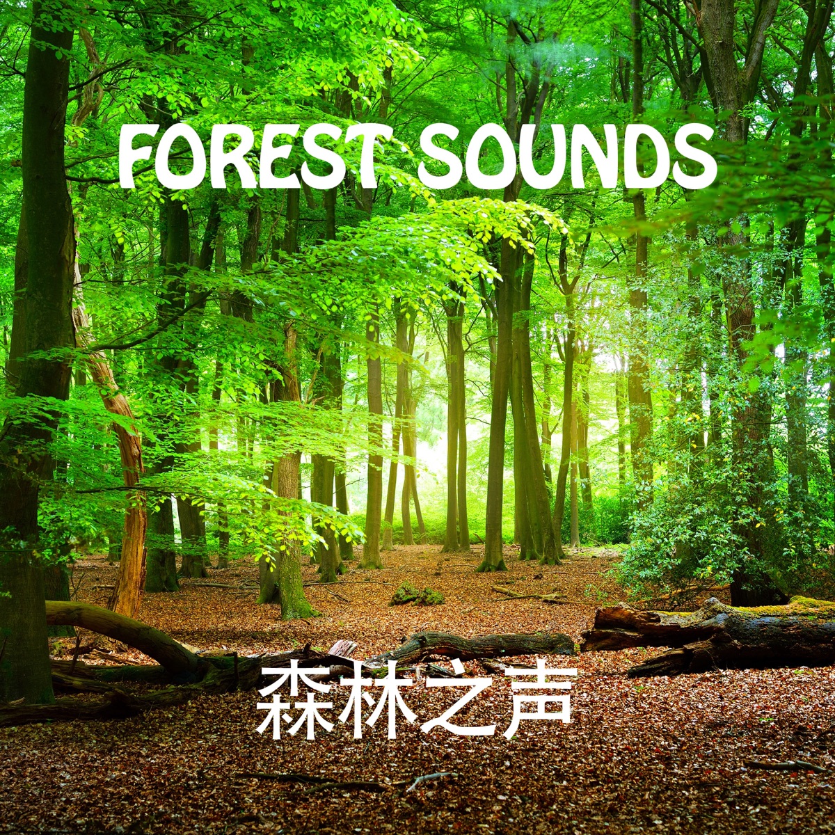 Forest Sounds - EP by Tony Star album cover