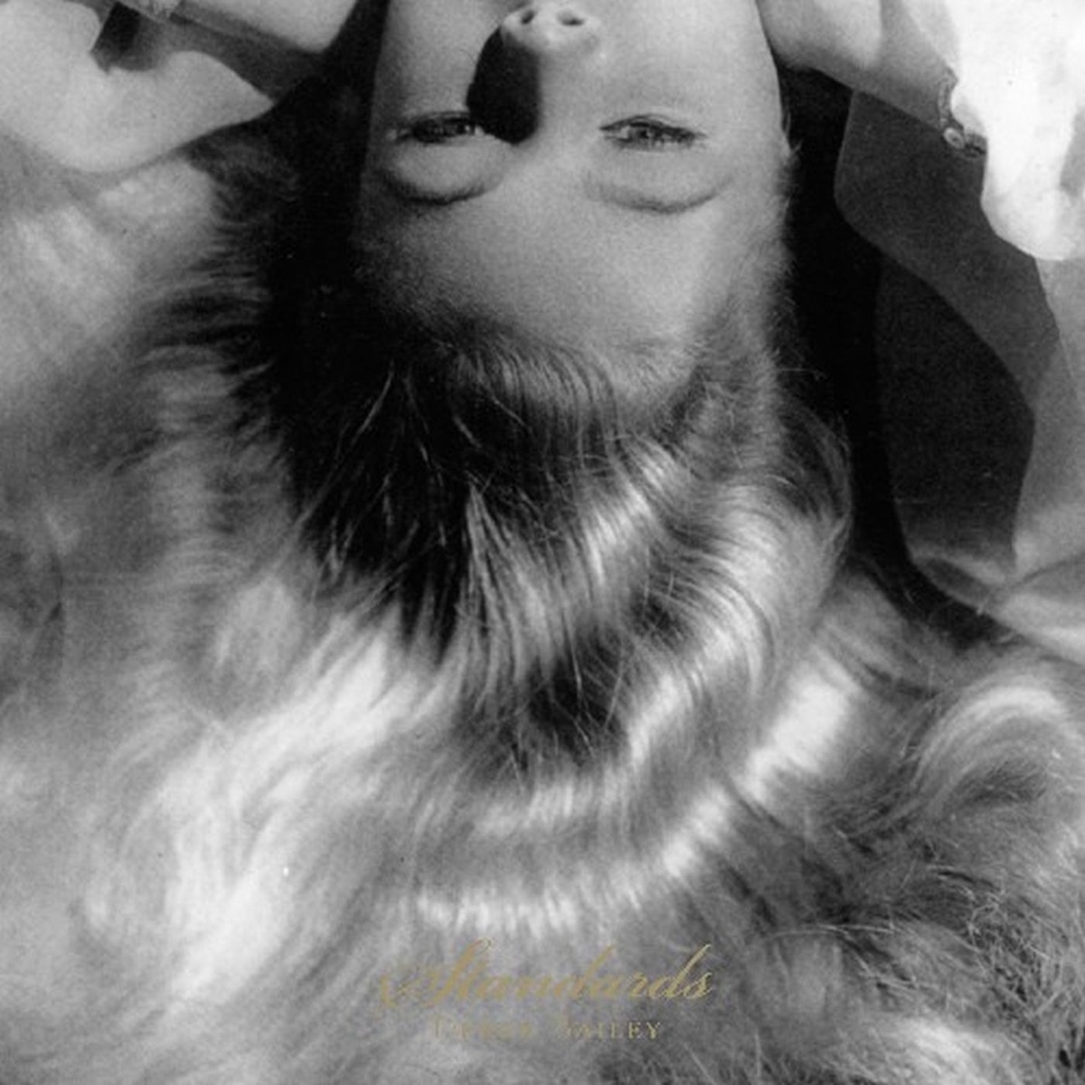 Standards by Derek Bailey album cover