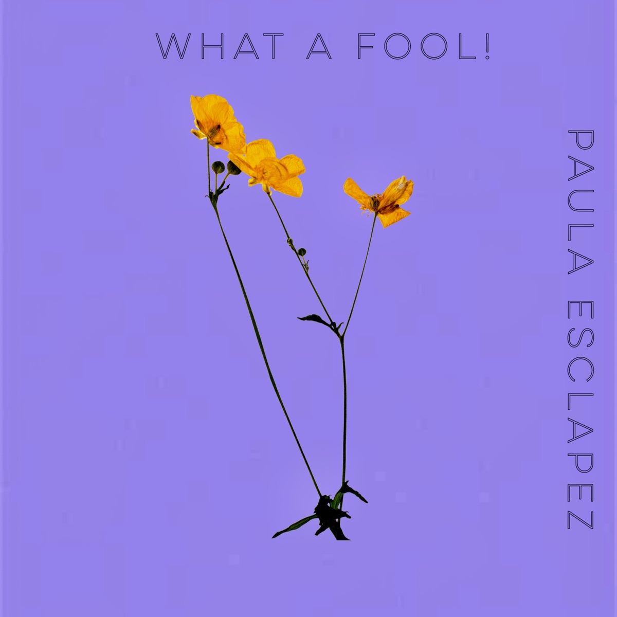 What a Fool! - Single by Paula Esclapez album cover