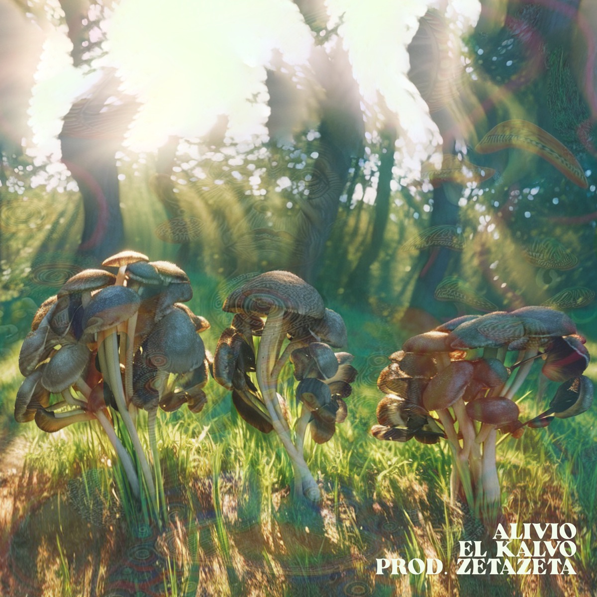 Alivio - Single by El Kalvo & ZetaZeta album cover