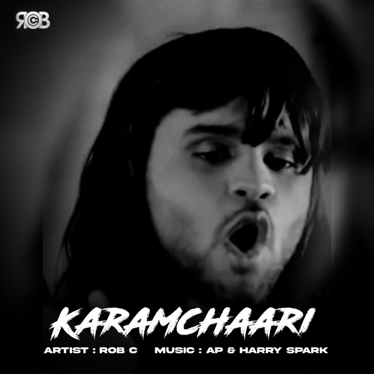 Karamchaari - Single by Rob C & Harry Spark album cover