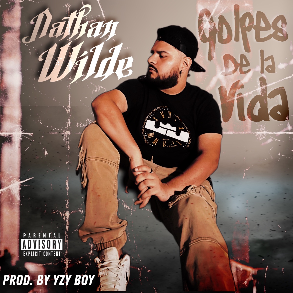 Golpes de la Vida - Single by Nathan Wilde album cover