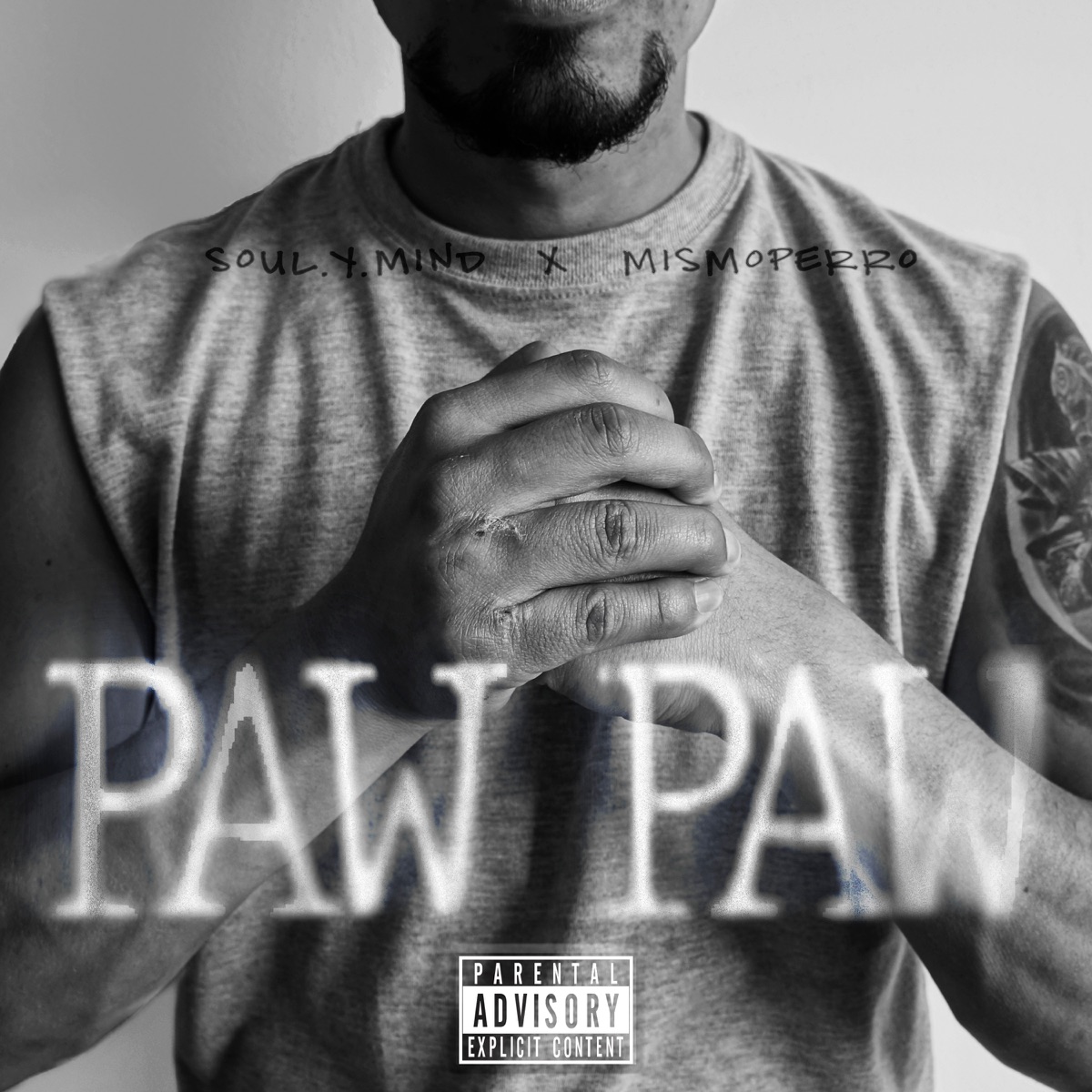 Paw Paw - Single by Soul.Y.Mind & Mismo Perro album cover