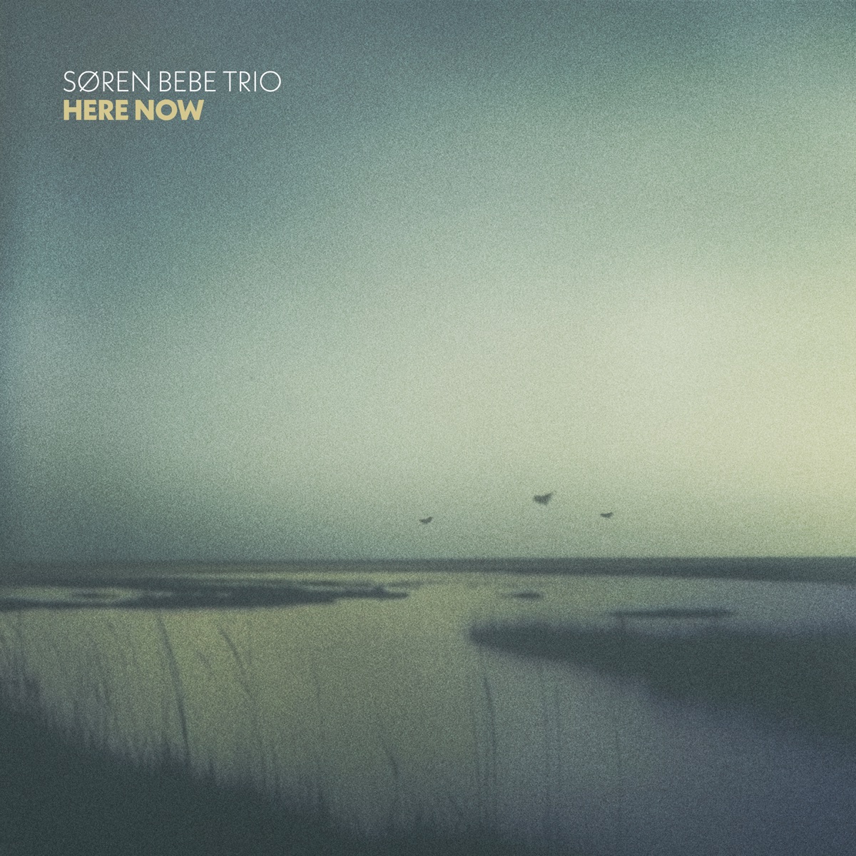 Here Now by Søren Bebe Trio album cover