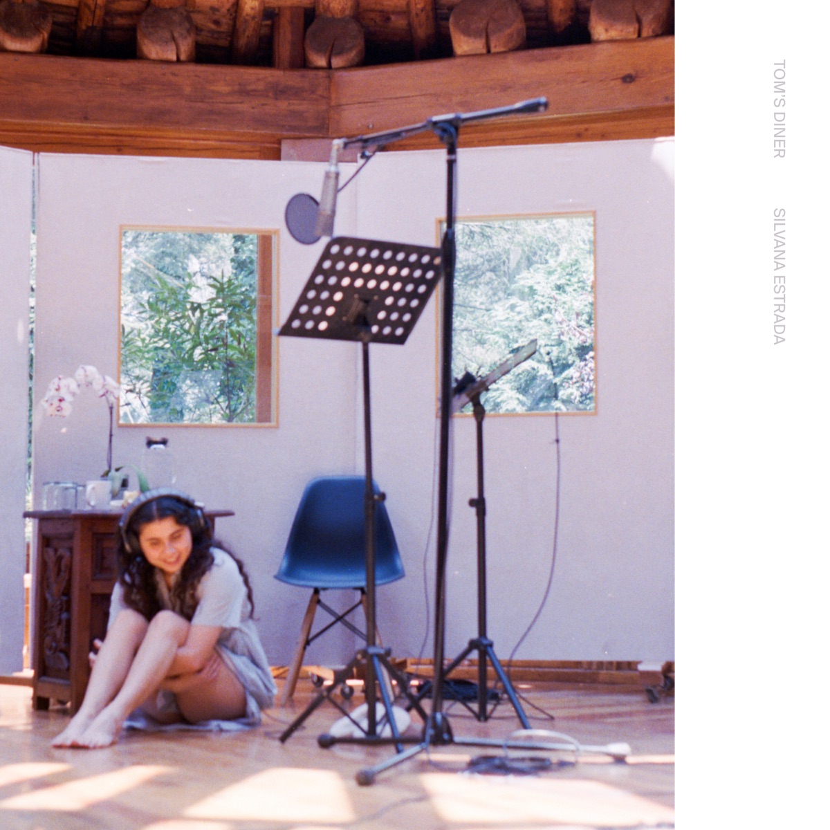 Tom's Diner - Single by Silvana Estrada album cover