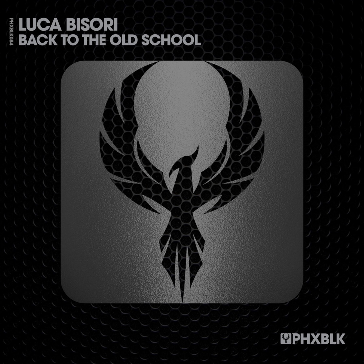 Back To the Old School - Single by Luca Bisori album cover