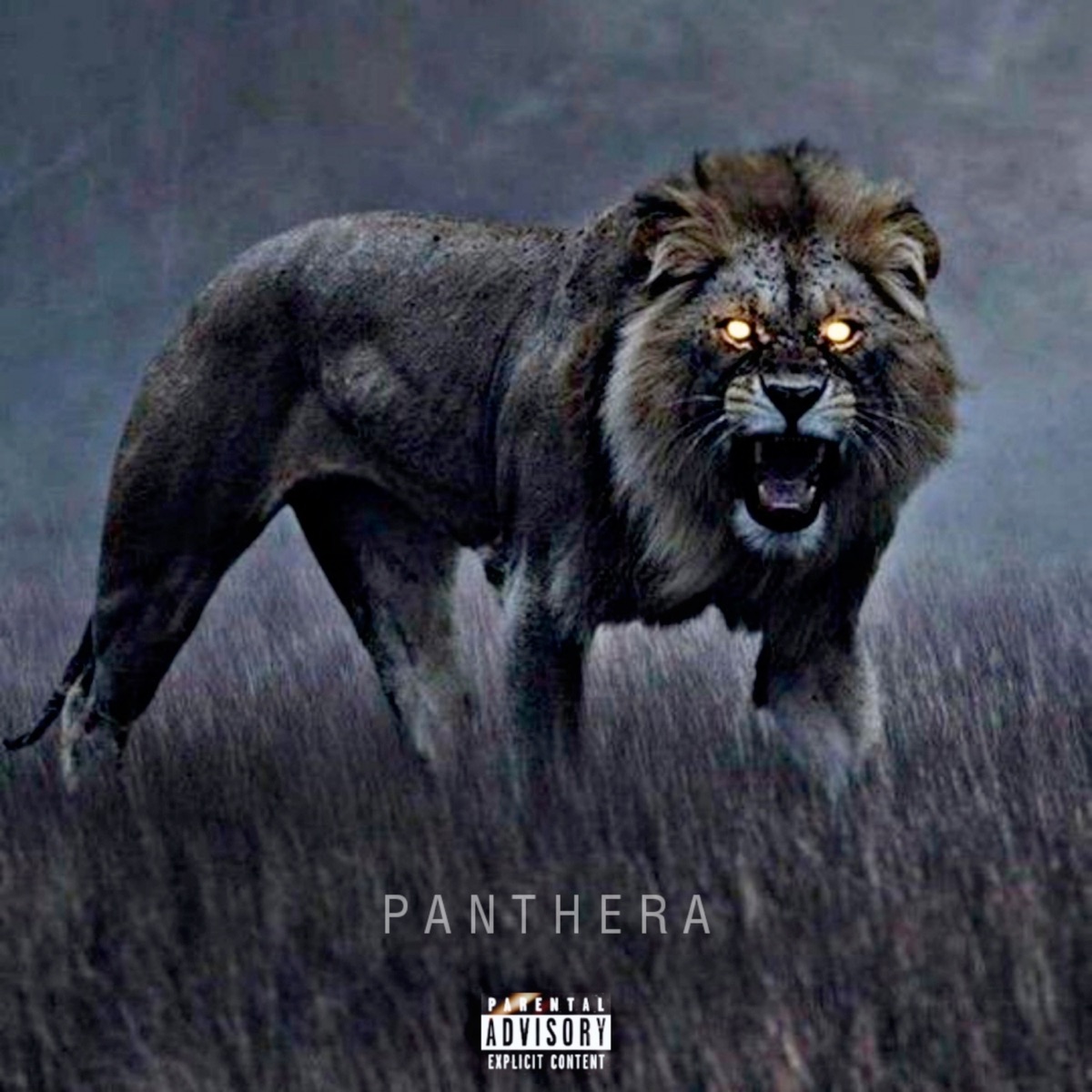 Panthera - Single by Neurotoxic Apocalypse album cover