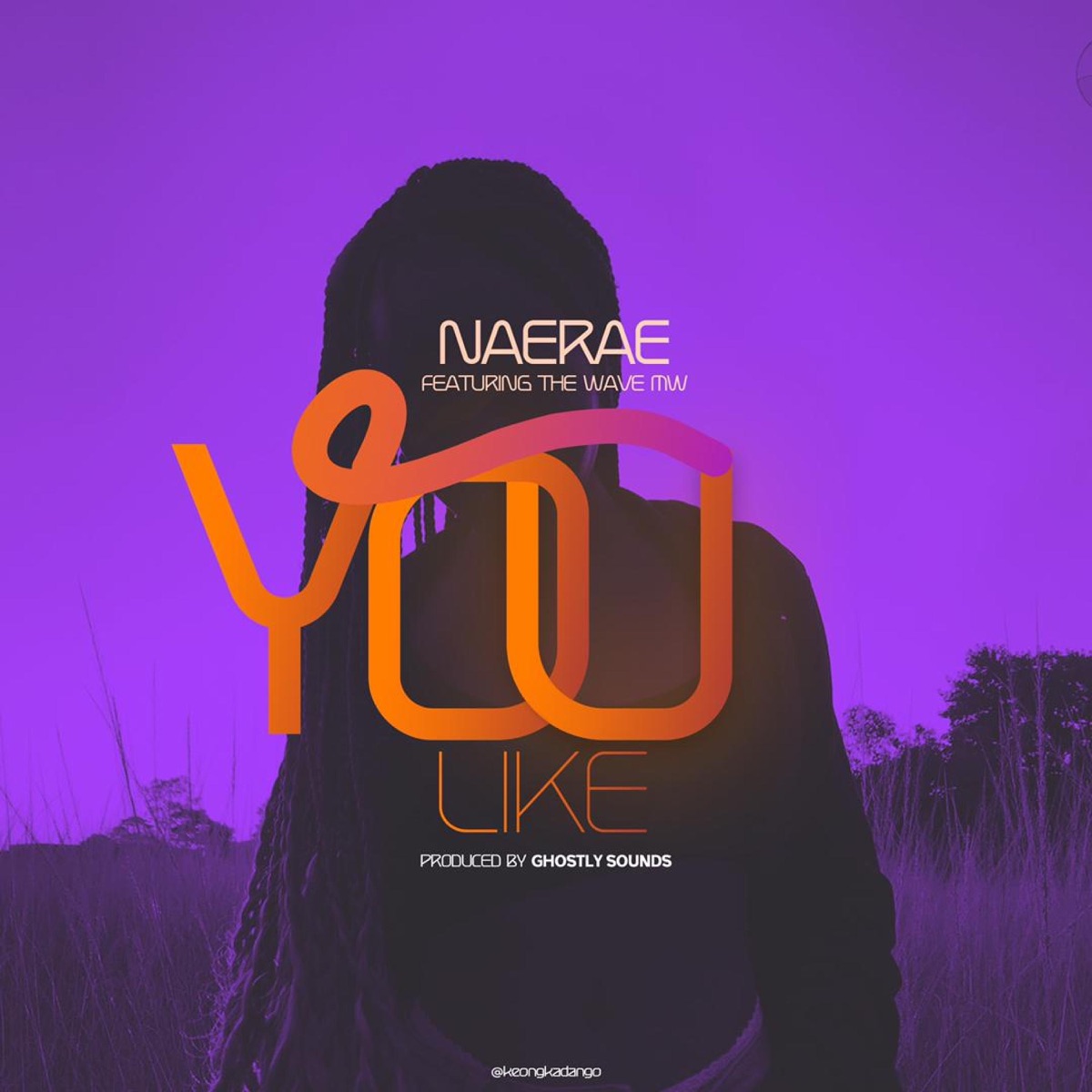 You like (feat. The Wave MW) - Single by NaeRae album cover