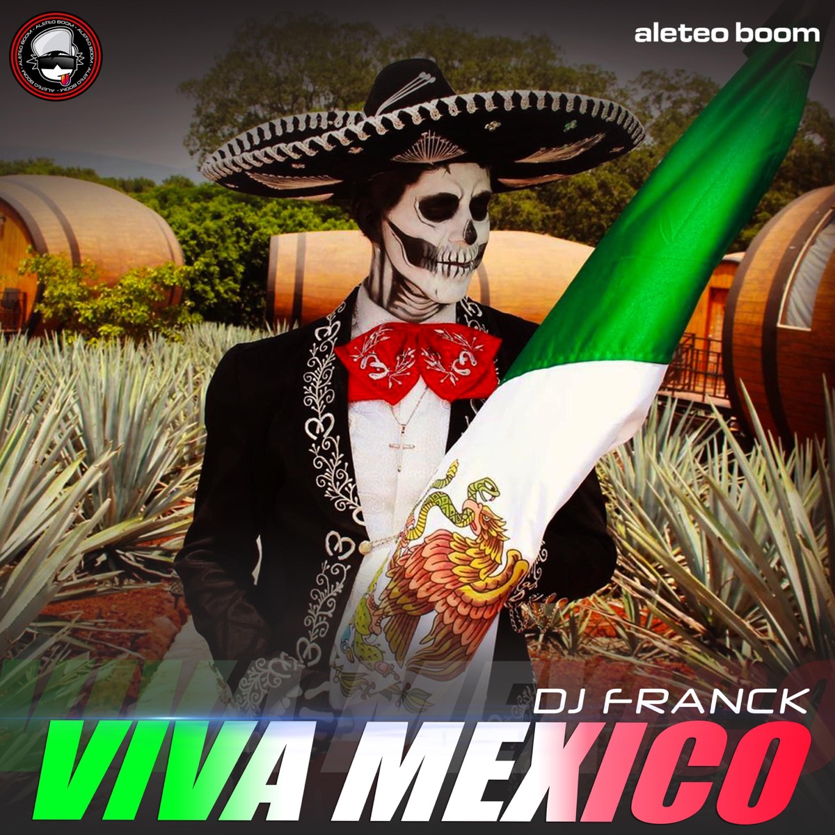Viva México (feat. Dj Franck) [Guaracha] - Single by Aleteo Boom album cover