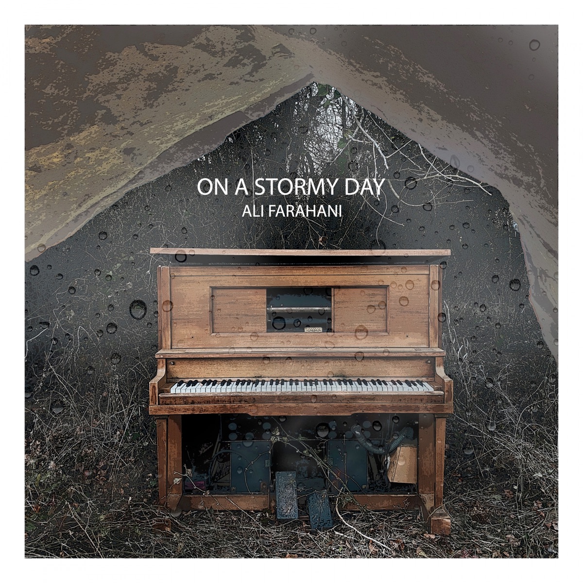On a Stormy Day - Single by Alì Farahani album cover