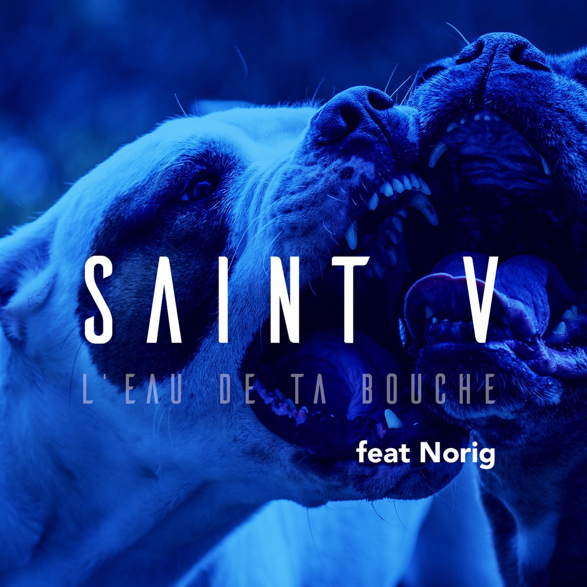 L'eau de ta bouche (feat. Norig) - Single by Saint-V album cover