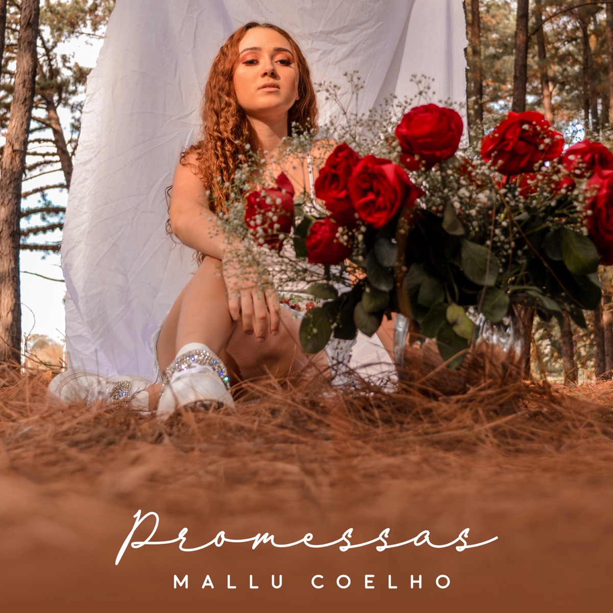 Promessas - Single by Mallu Coelho album cover