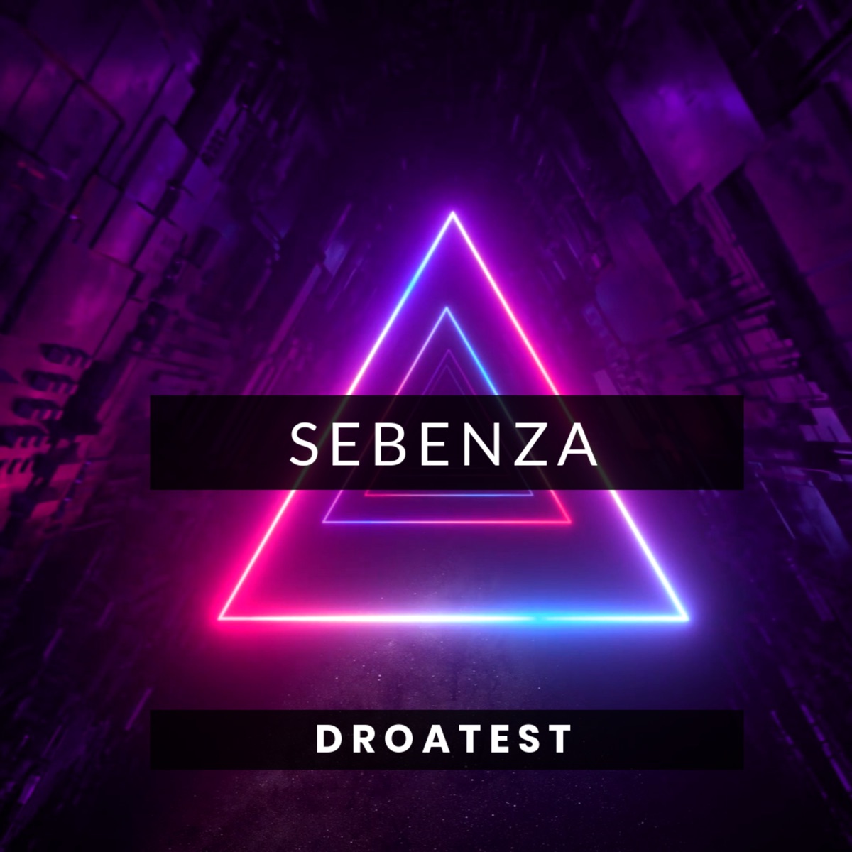 Sebenza - Single by Droatest & Da Leech album cover