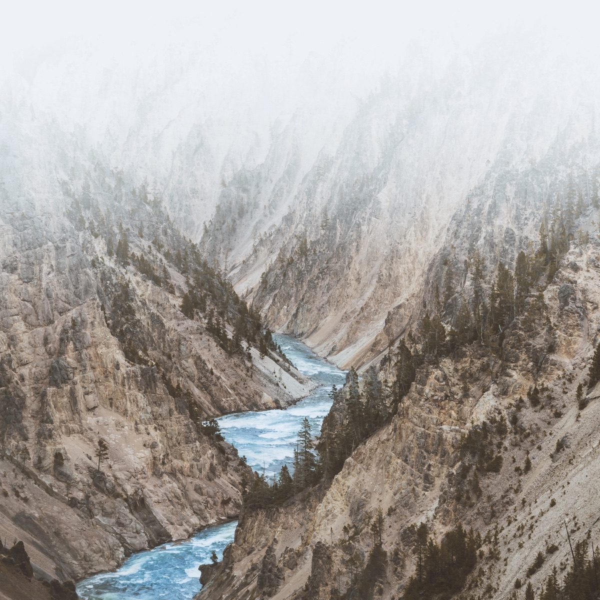 North - Single by David Chief album cover