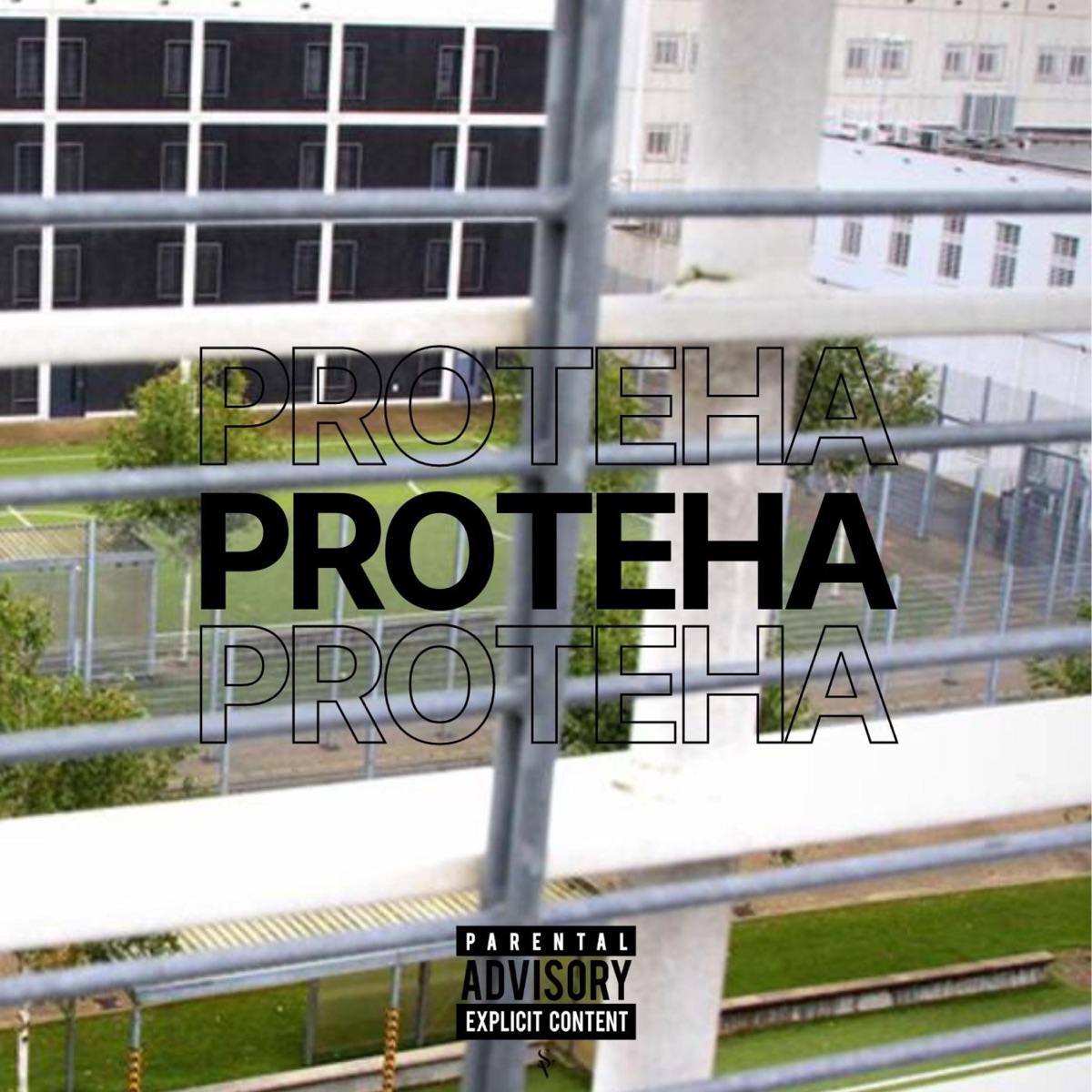 Proteha - Single by Valley album cover