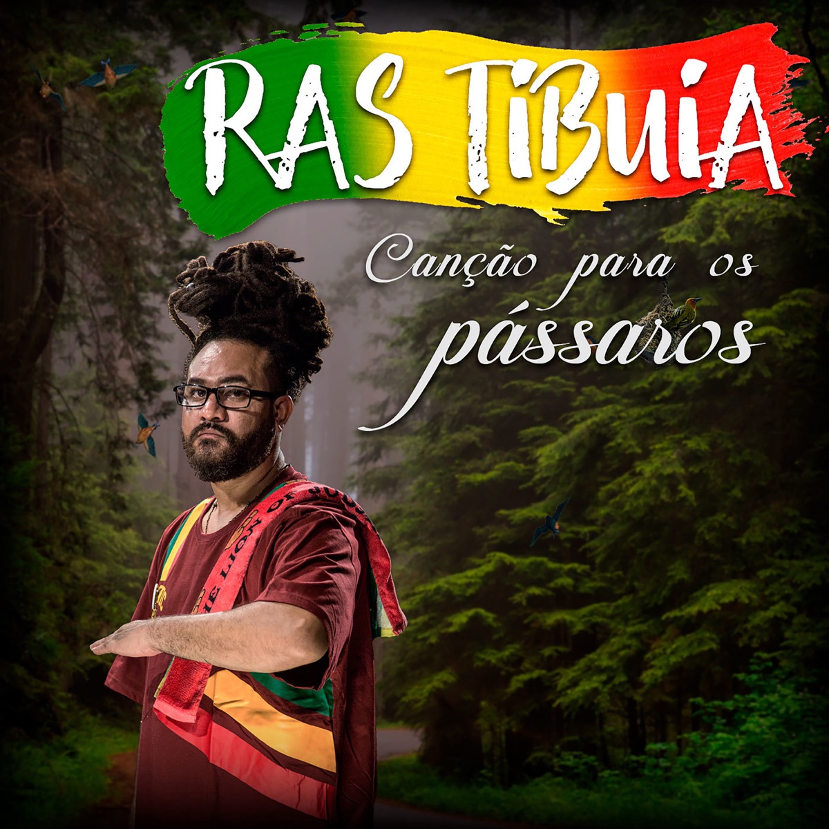 Canção para Os Pássaros - Single by Ras Tibuia album cover