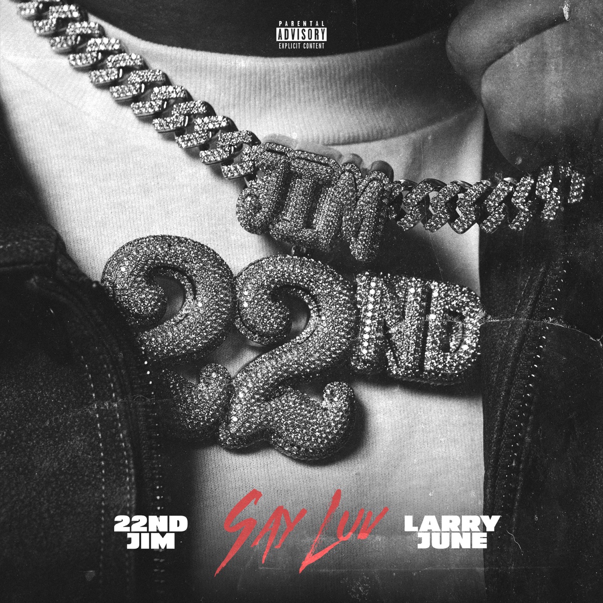 Say Luv - Single by 22nd Jim & Larry June album cover artwork