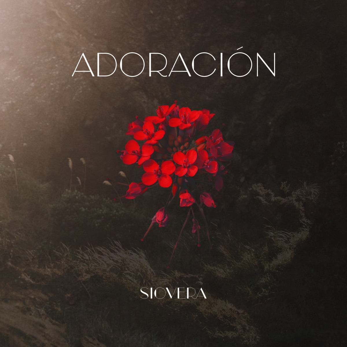 Adoración by SioVera & Anthem Worship Español album cover