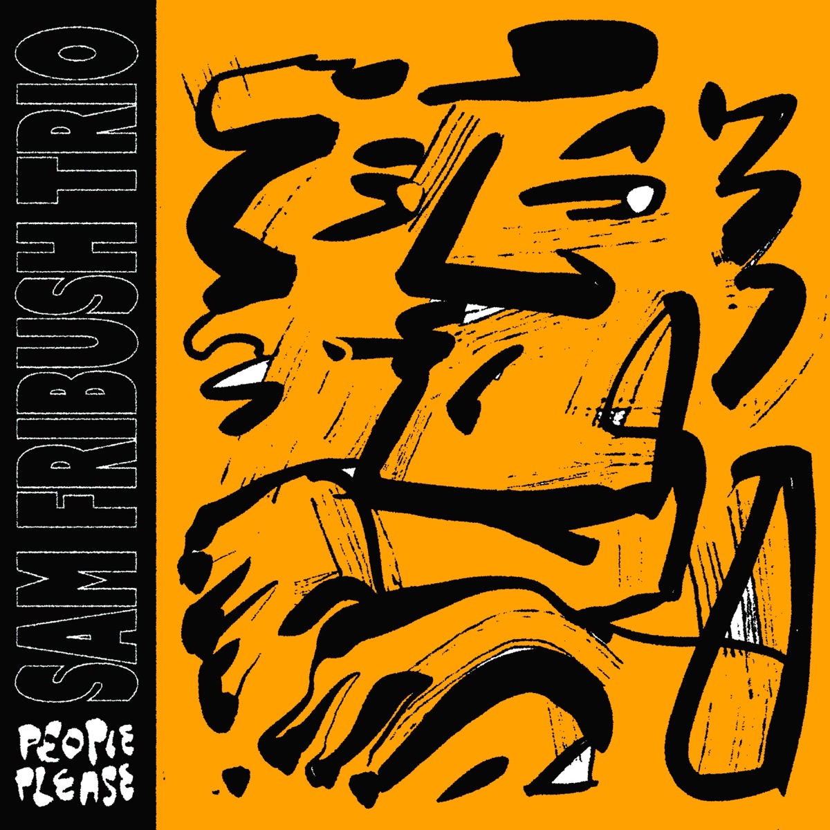 People Please by Sam Fribush, Charlie Hunter & Calvin Napper album cover
