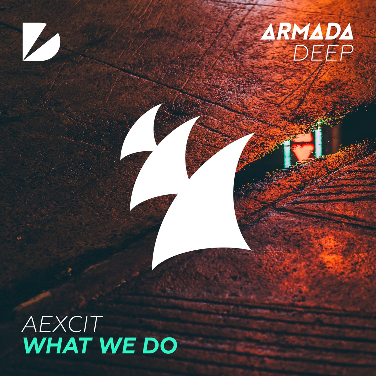 What We Do - Single by Aexcit album cover
