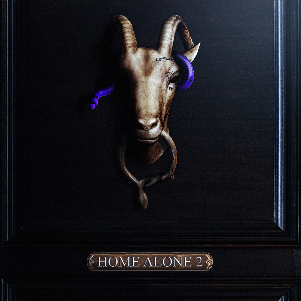 Home Alone 2 by D-Block Europe album cover