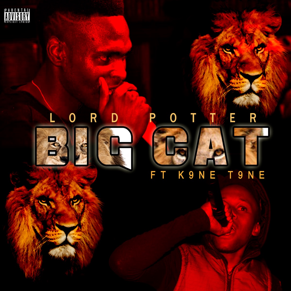 Big Cat (feat. K9ne T9ne) - Single by Lord Potter album cover