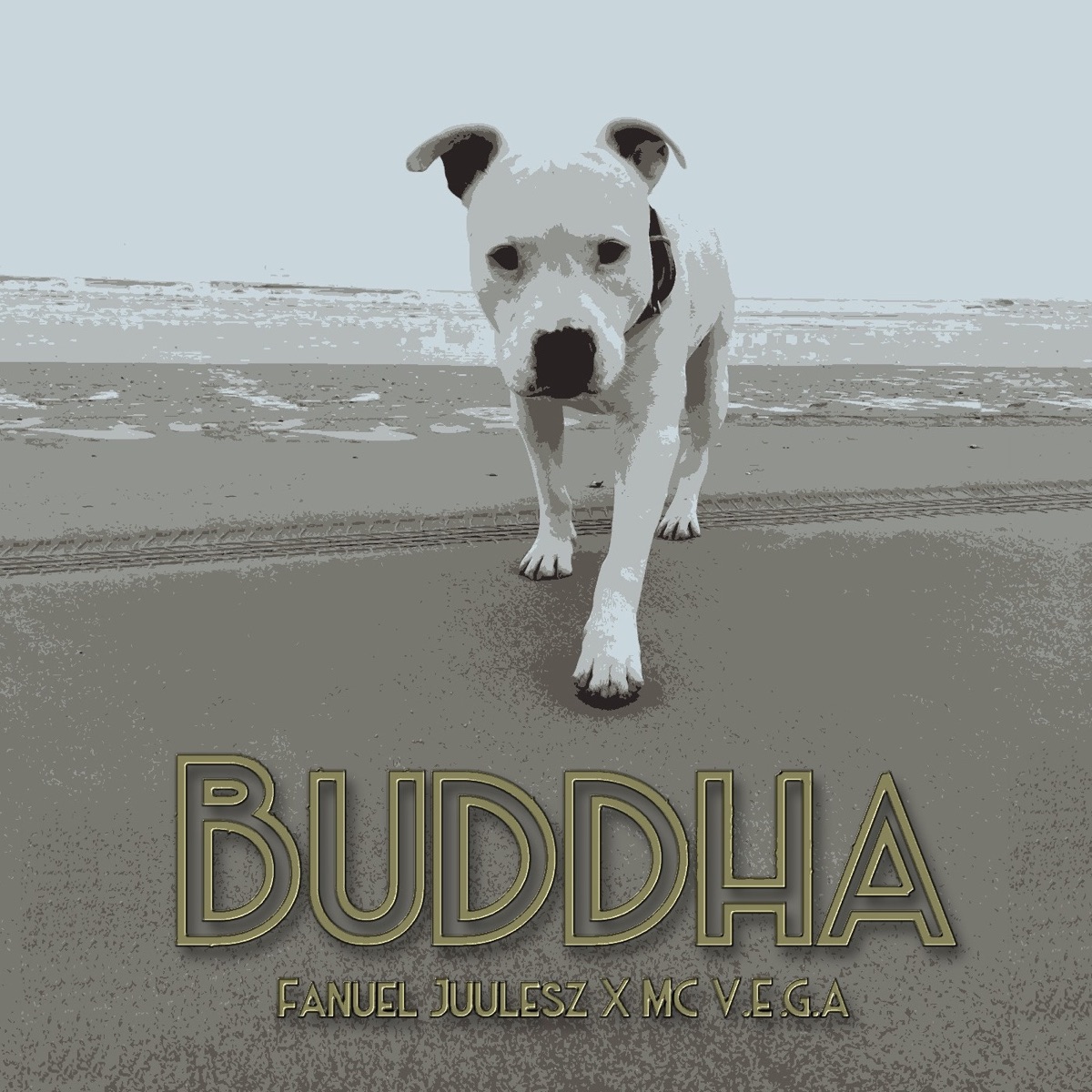 Buddha - Single by Fanuel Juulesz & MC V.e.g.a. album cover