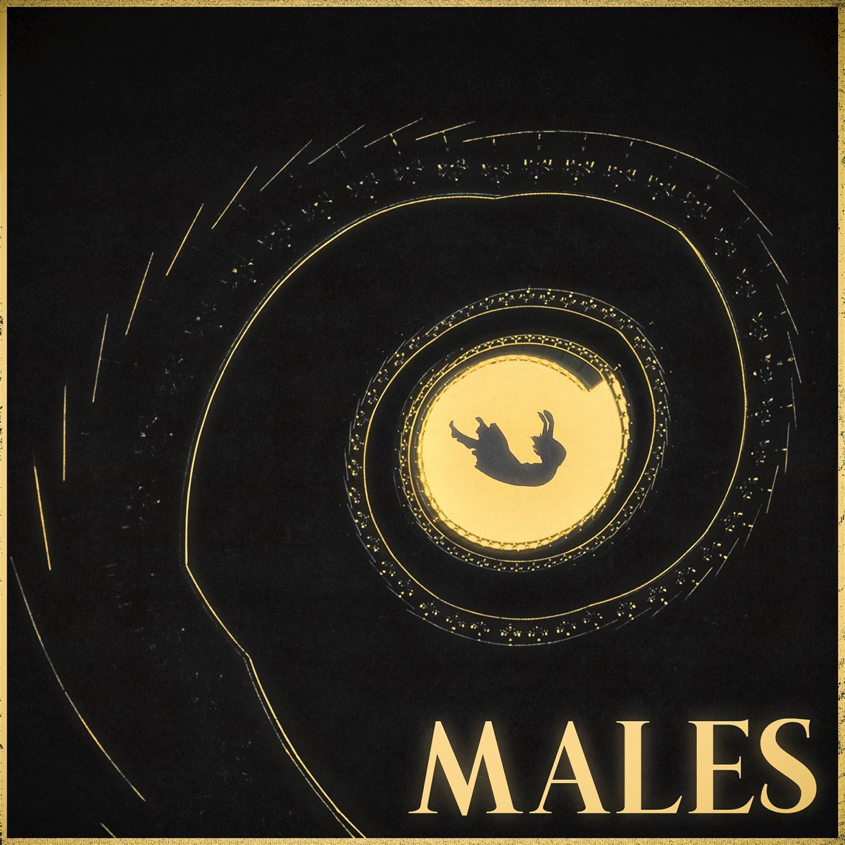 Males - Single by Haned album cover