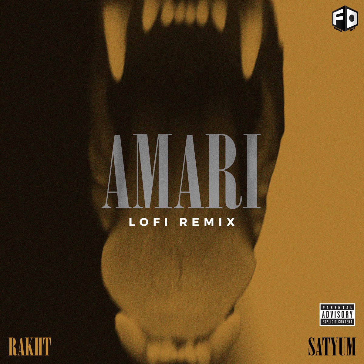 Amari (Lofi Remix) [feat. Trosk] - Single by RAKHT & Satyum album cover