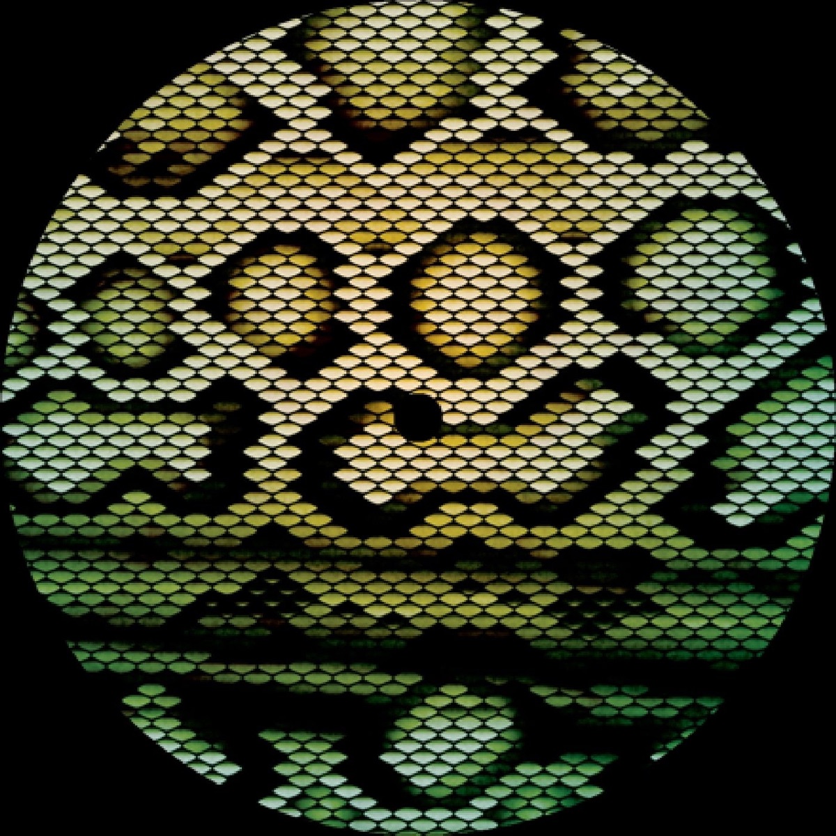 Boomslang / Zharp - Single by LV & Okmalumkoolkat album cover