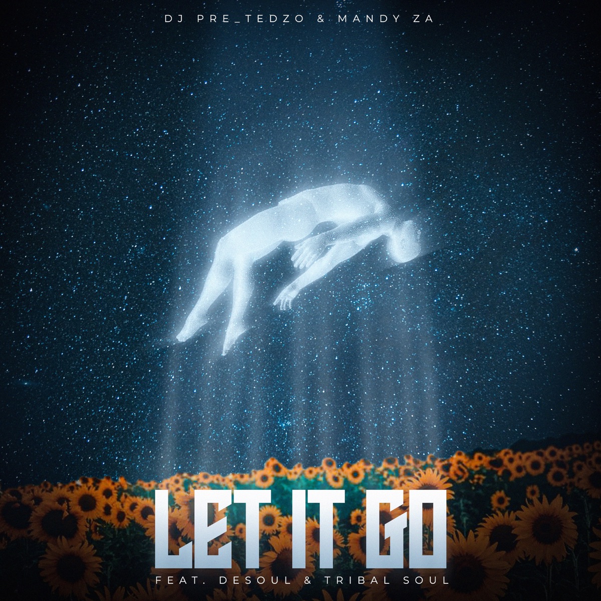 Let It Go (feat. DeSoul & Tribal Soul) - Single by Dj Pre_Tedzo & Mandy Za album cover