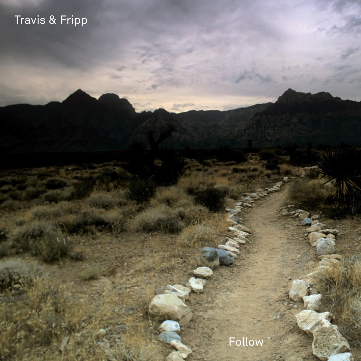 Follow by Theo Travis & Robert Fripp album cover