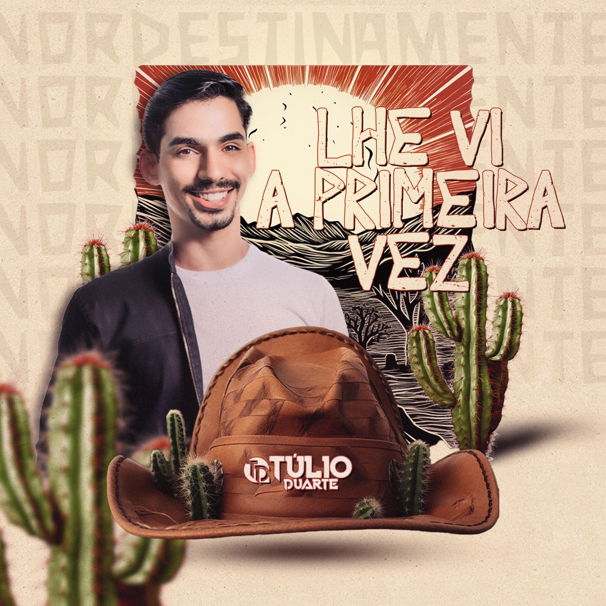 Lhe Vi pela Primeira Vez - Single by Túlio Duarte album cover