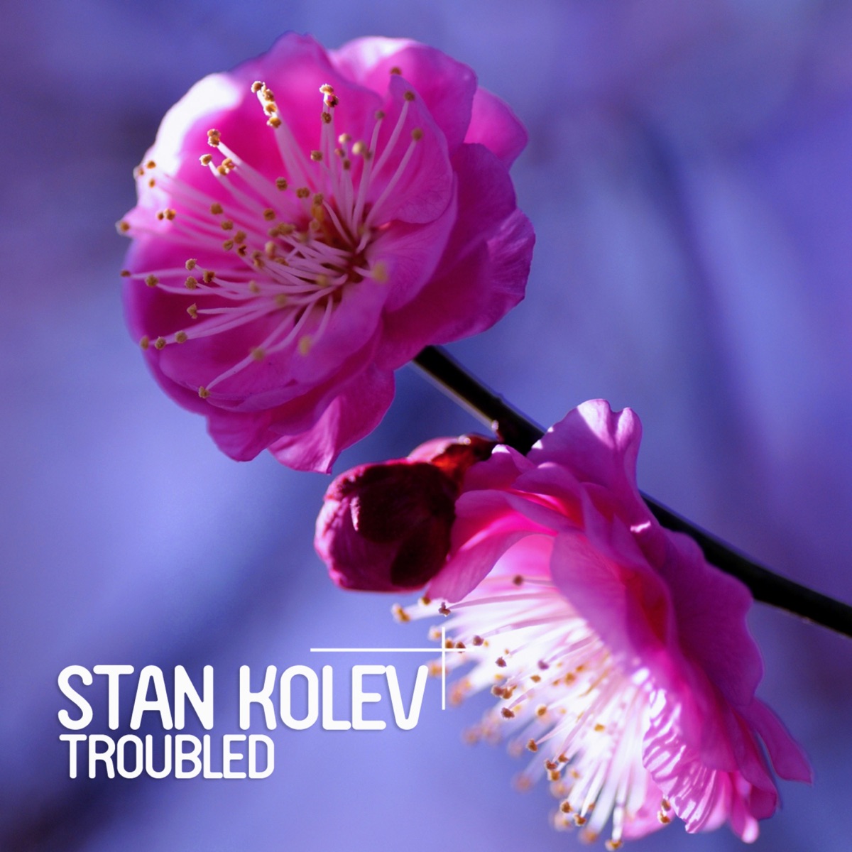 Troubled (Remixes) - Single by Stan Kolev album cover